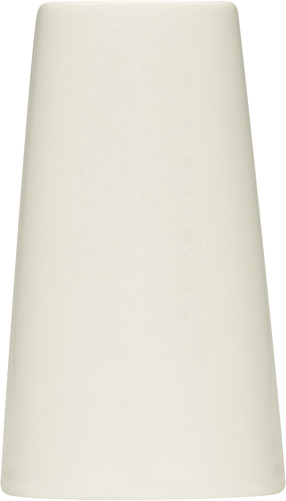 Bauscher 6994016 Salzstreuer