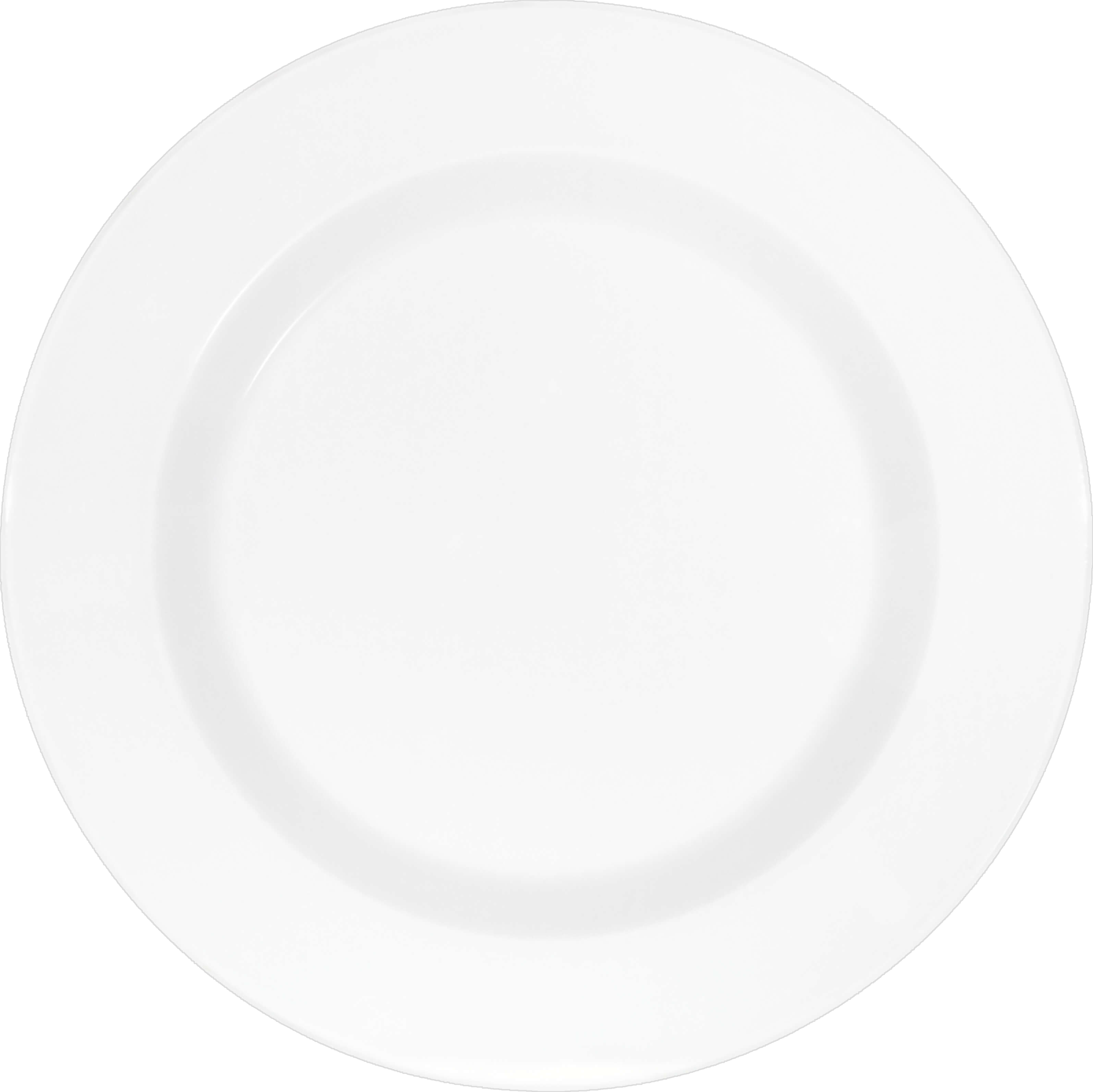 Schoenwald 9400027 Teller Flach Fahne, Kunst, Porzellan, Töpferei, Teller