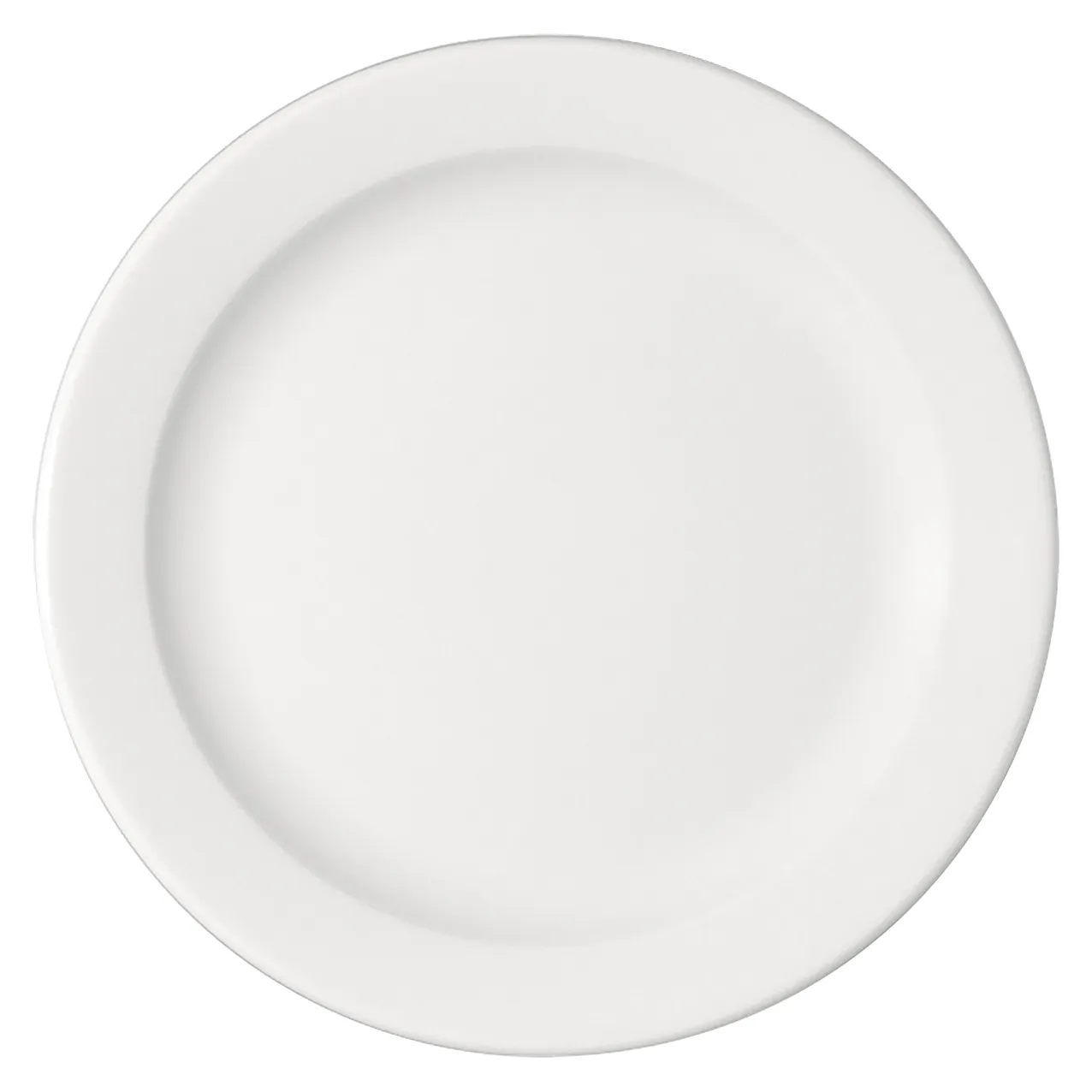 Bauscher B1100 Teller flach Fahne 24 cm