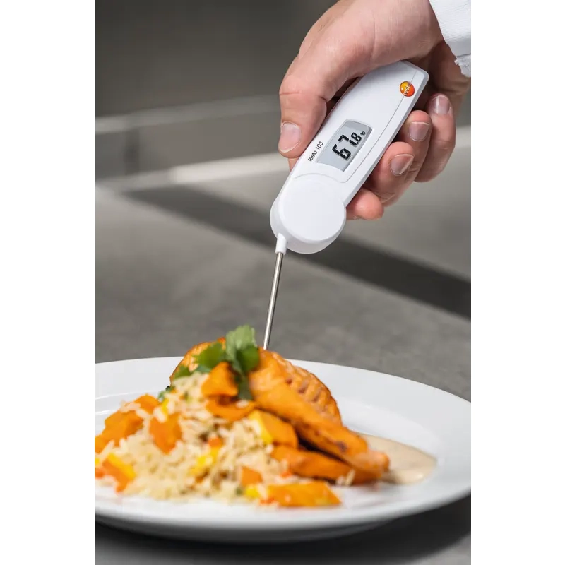 Testo 05600103 103 Einstechthermometer Temperaturmessung bei einem Gericht auf einem Teller