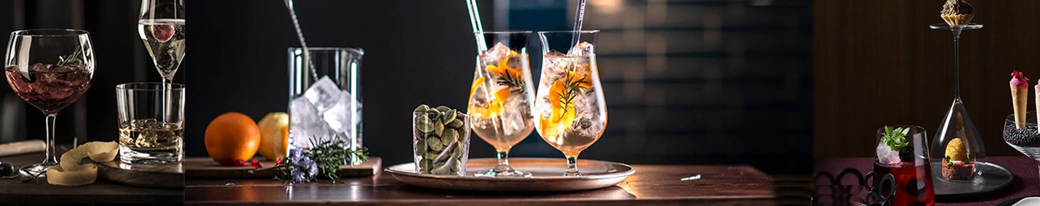 Serienuebersicht Schott Zwiesel Bar Selection