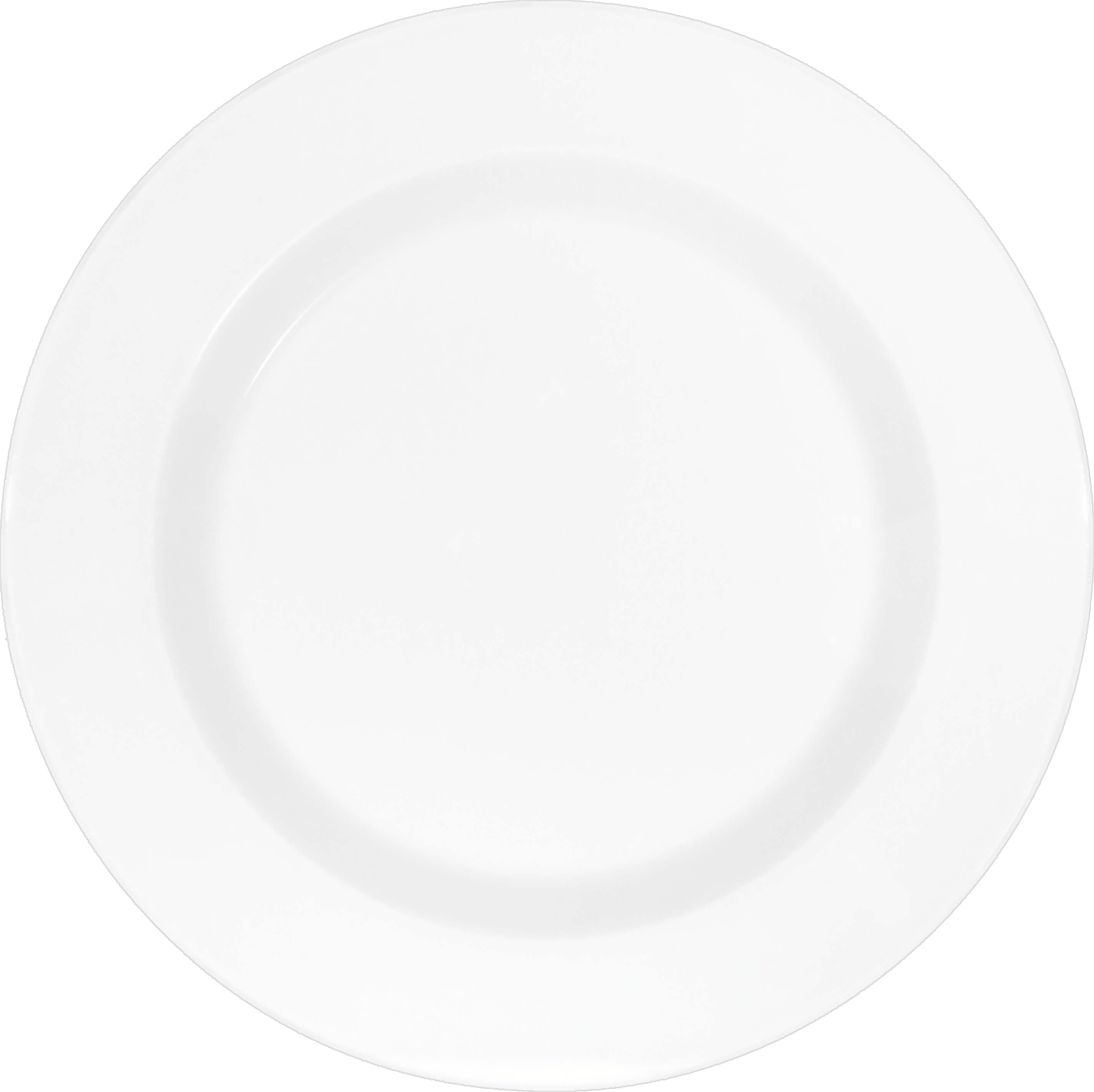 Schoenwald 9400024 Teller Flach Fahne, Porzellan, Töpferei, Teller, Essen, Mahlzeit